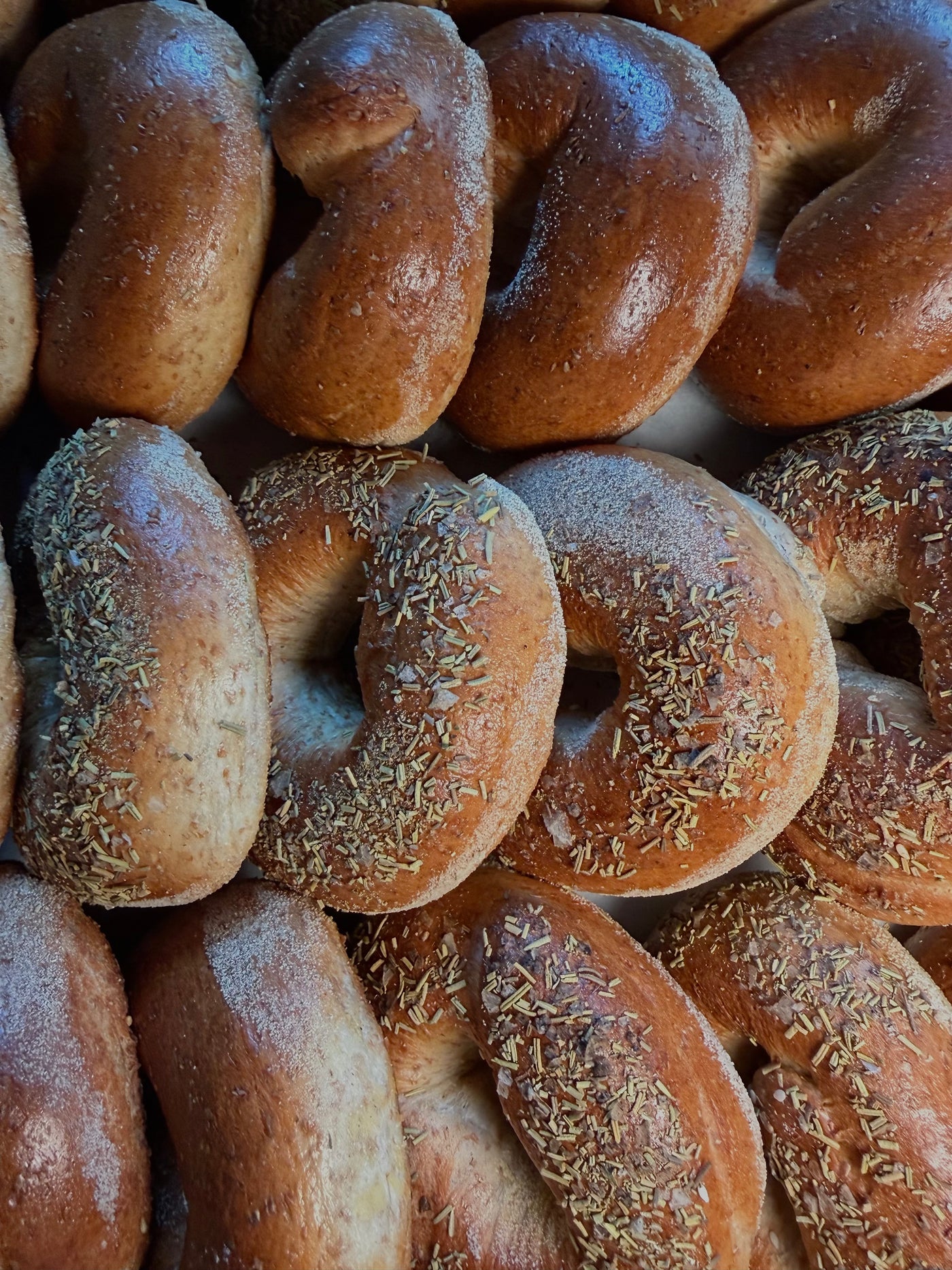 Bulk Bagels